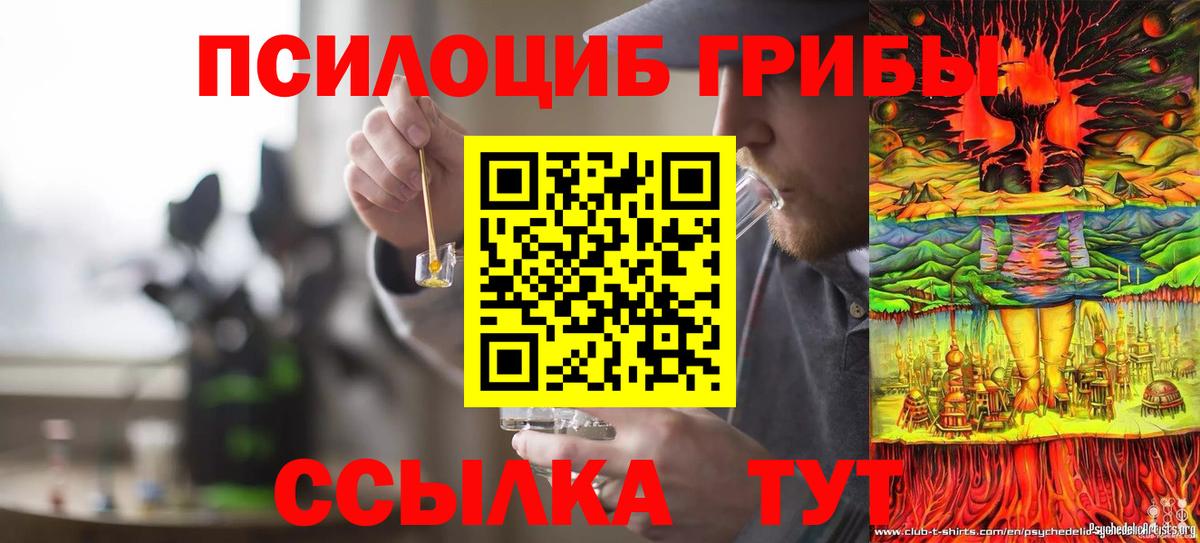 Лобня  Псилоцибиновые грибы мицелий  Вход с VPN  Псилоцибиновые грибы прущие грибы 